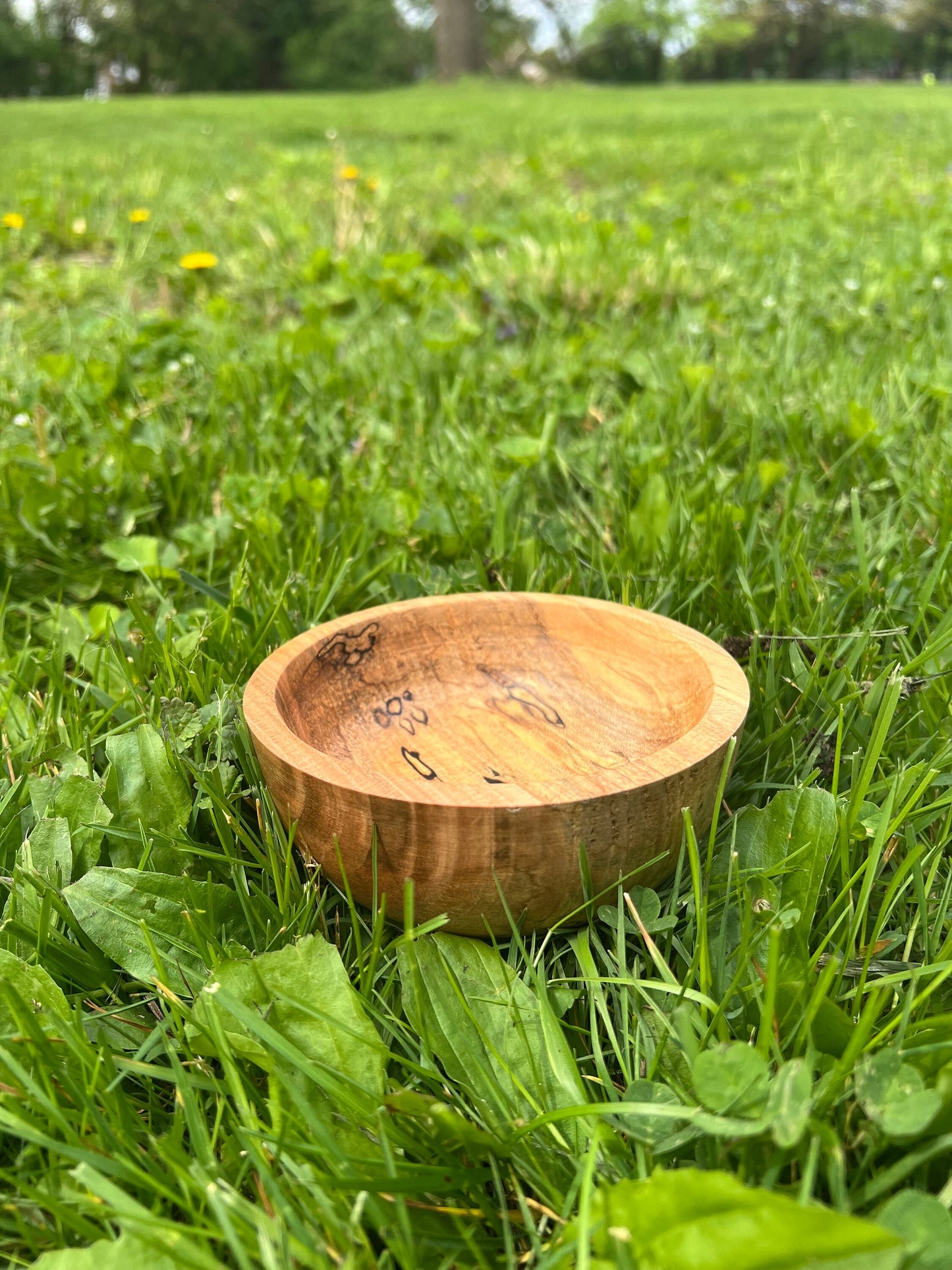 Hand-Turned 4.75 inch Spalted Maple Bowl