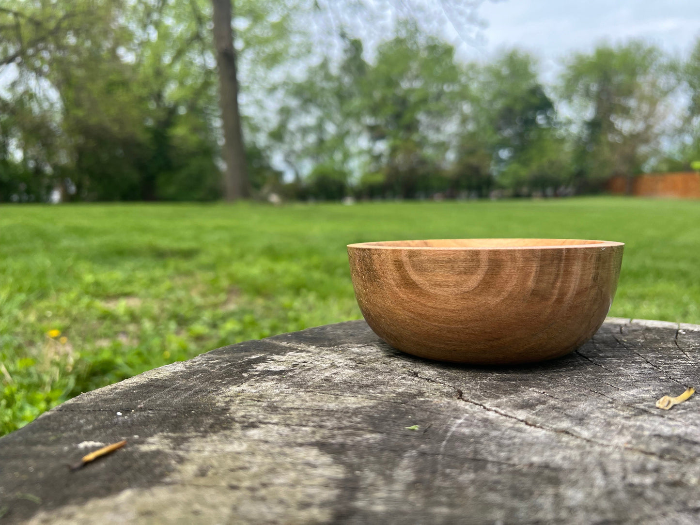 Hand-Turned 4.75 inch Spalted Maple Bowl